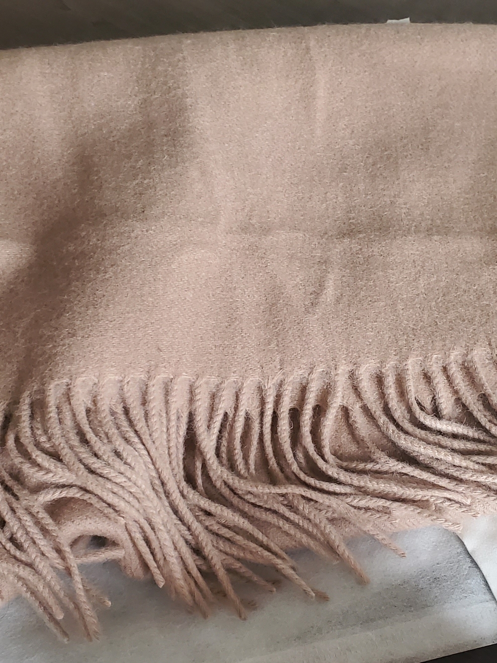 Classic Beige Fringe Women's Scarf